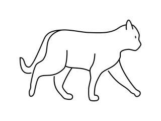 Cat linear vector icon. Isolated outline of an cat on a white background. Cat drawing.