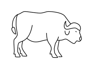 Buffalo linear vector icon. Isolated outline of an buffalo on a white background. Buffalo drawing.