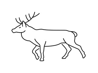 Deer linear vector icon. Isolated outline of an deer on a white background. Deer drawing.