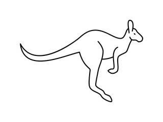 Kangaroo linear vector icon. Isolated outline of an kangaroo on a white background. Kangaroo drawing.
