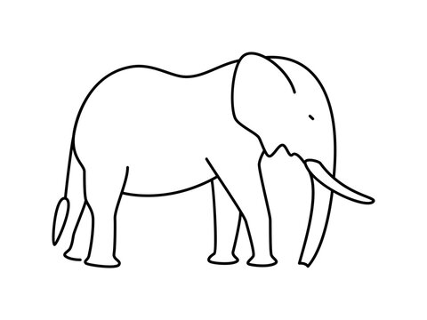 Elephant linear vector icon. Isolated outline of an elephant on a white background. Elephant drawing.