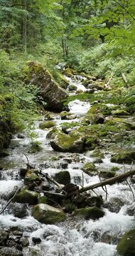 The Schiffbach originates near the Rottachalm from the Pfenniggraben and R&ouml;thensteingraben flows on the slopes of an Alpine Bavarian forest before it flows into the Rottach tributary to the Tegernsee
