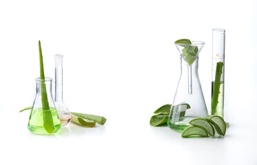 Test tubes with fresh aloe on table white background, top view. Concept laboratory tests and research, making and testing green ecological cosmetic - 643906952