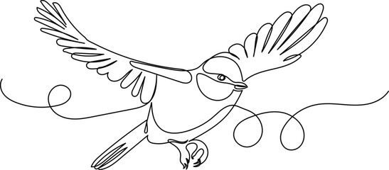 tit flies continuous line drawing vector