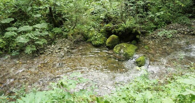 The Schiffbach in Upper Bavaria, a stream with clear waters flowing in cascades von Rottachalm near Risserkogel and rocky Blankenstein bis Enterrottach und Unterwallberg, region of Tegernsee  
