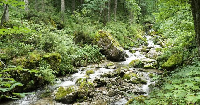 Bach in Upper Bavaria. The Schiffbach stream arises near Rottachalm tumbles down in shimmering turquoise cascades in the Alpine forest with pastures and varied mountain vegetation
