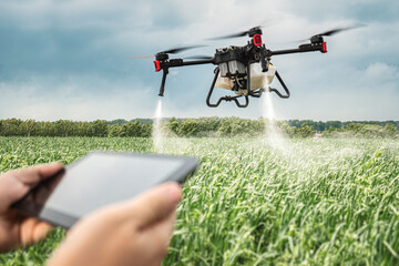 drone control on the farmer's field. Modern technologies in agriculture. industrial drone flies...