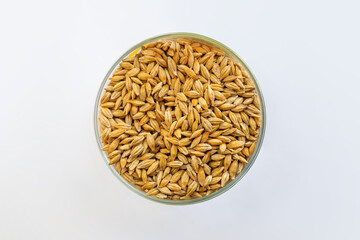 dry seeds in plate on white background view from above. grain crops, malting barley
