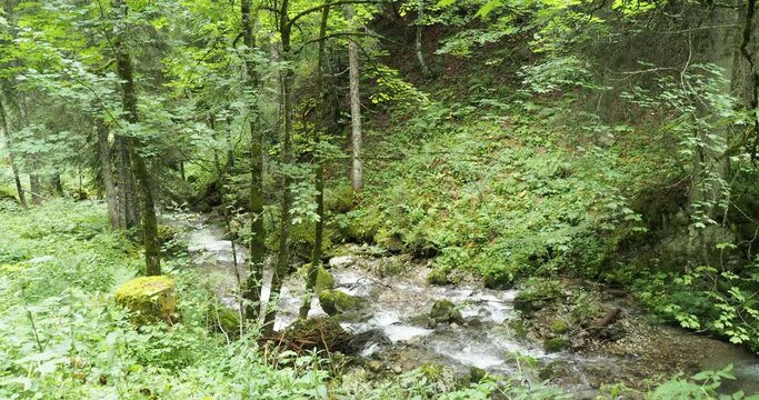 To see in Upper Bavaria. The Schiffbach stream arises near Rottachalm surrounded by meadows and forest flowing in cascade before joining the river Rottach and the Tegernsee
