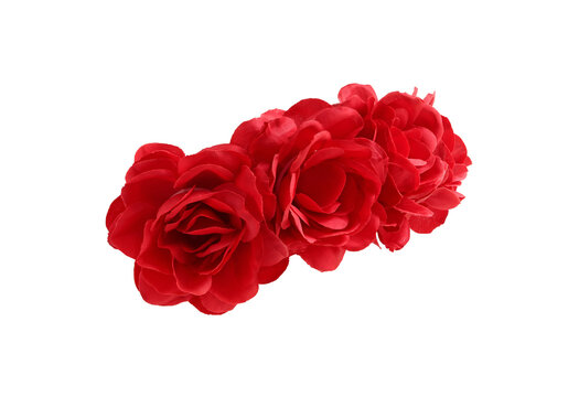 Red Rose Flower Crown side view isolated on white background with clipping paths