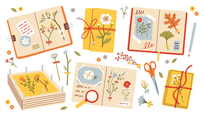 Herbarium set. Cozy autumn flowers and leaves set. Fall mood poster, sticker, postcard, flyer template vector
