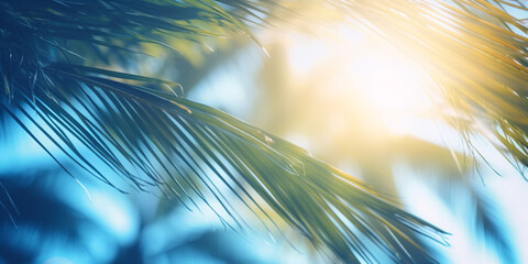 Obraz premium Beautiful sun rays penetrating through the blue sky and palm leaves in the background. Summer holiday concept. AI generated