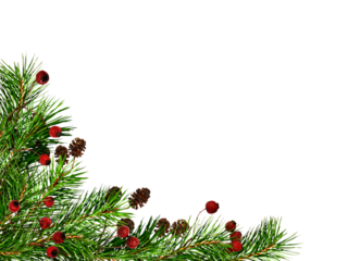 Christmas corner arrangement with pine twigs, small cones and red berries isolated on white or transparent background