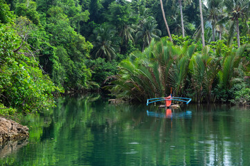 Boat on a tropical river with a jungle background