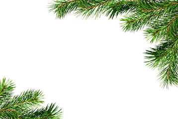 Christmas corner arrangement with green pine twigs isolated on white or transparent background - obrazy, fototapety, plakaty