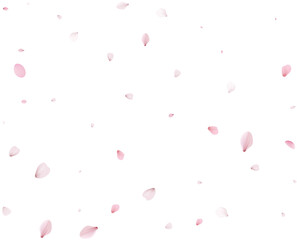 Sakura flying petals, romantic background.