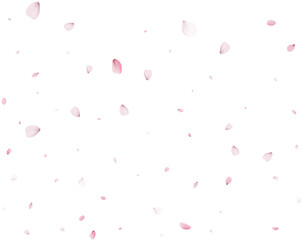Sakura flying petals, romantic background.
