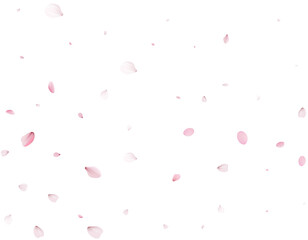 Sakura flying petals, romantic background.