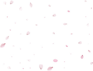 Sakura flying petals, romantic background.