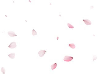 Romantic Sakura Background