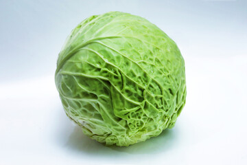 head of cabbage