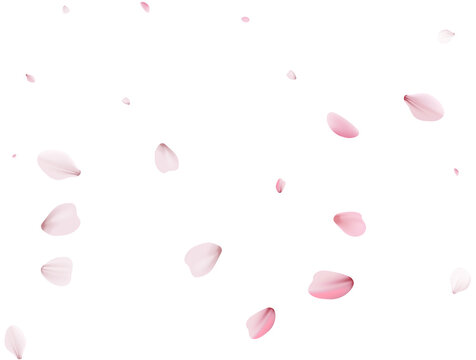 Romantic Sakura Background