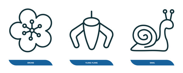 set of 3 linear icons from nature concept. outline icons such as orchid, ylang-ylang, snail vector © Farahim