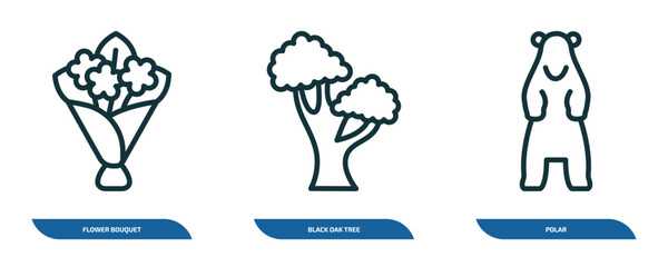 set of 3 linear icons from nature concept. outline icons such as flower bouquet, black oak tree, polar vector