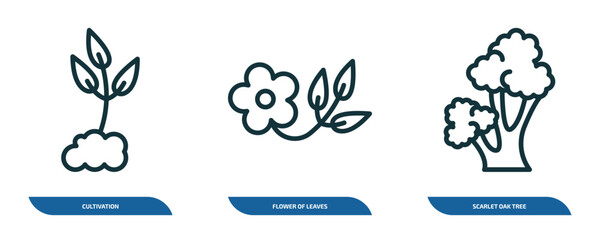 set of 3 linear icons from nature concept. outline icons such as cultivation, flower of leaves, scarlet oak tree vector
