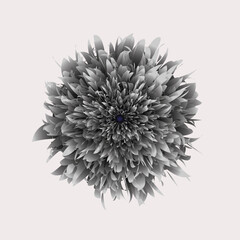 Floral Black And White Vector Flower