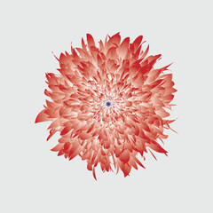 Red and White Vector flower