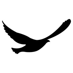 bird silhouette