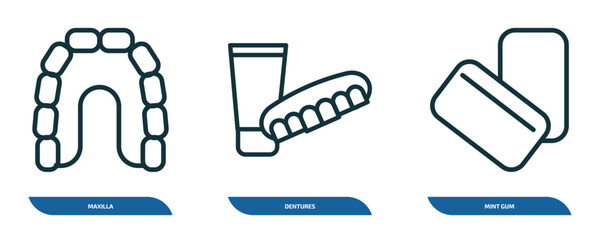 set of 3 linear icons from dentist concept. outline icons such as maxilla, dentures, mint gum vector © Farahim