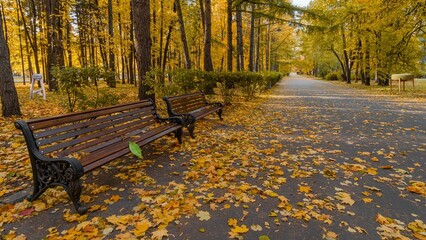 Landscapes, the bench laying under the in yellow leaves, the season is autumn. Park view.