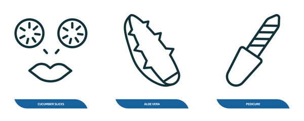 set of 3 linear icons from beauty concept. outline icons such as cucumber slices on face, aloe vera, pedicure vector