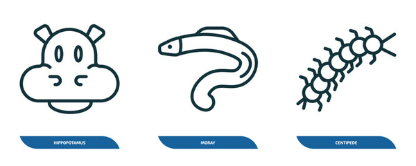 set of 3 linear icons from animals concept. outline icons such as hippopotamus, moray, centipede vector