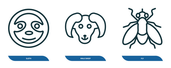 set of 3 linear icons from animals concept. outline icons such as sloth, male sheep, fly vector
