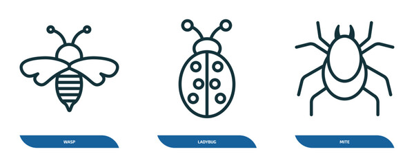 set of 3 linear icons from animals concept. outline icons such as wasp, ladybug, mite vector - obrazy, fototapety, plakaty