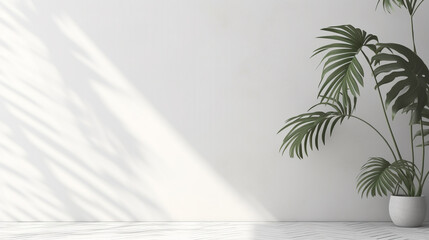 interior of an empty white room with a palm tree, against the background of a wall lit by the sun. Generative Ai