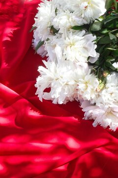Dise&ntilde;o floral  de peonias creativo sobre fondo de tela roja haciendo ondas.Flores hojas plantas decorativas y telas con textura. concepto de naturaleza, fondo natural con luz de sol directa