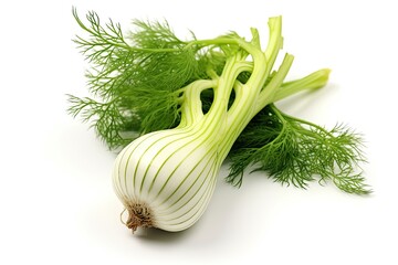 Fennel photo realistic illustration - Generative AI.