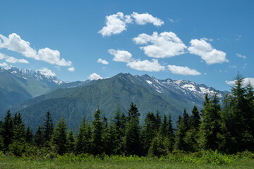 Foggy mountain landscape. Foggy and cloud-covered mountains. Foggy valleys. Foggy forest landscape. Black Sea mountains.Pokut Plateau. Kaçkar mountains. Rize, Türkiye.