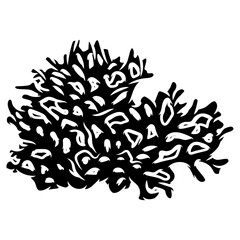 Fototapeta na wymiar coral silhouette