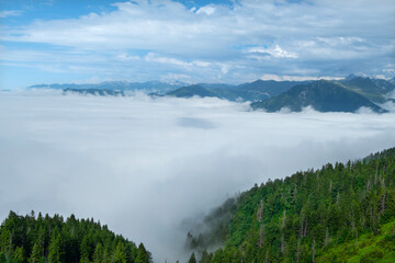 Foggy mountain landscape. Foggy and cloud-covered mountains. Foggy valleys. Foggy forest landscape. Black Sea mountains.Pokut Plateau. Kaçkar mountains. Rize, Türkiye.