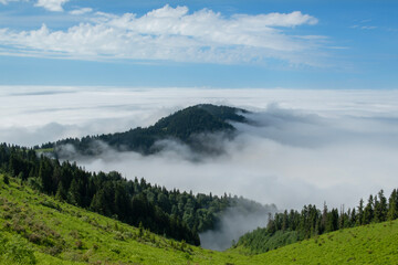 Foggy mountain landscape. Foggy and cloud-covered mountains. Foggy valleys. Foggy forest landscape. Black Sea mountains.Pokut Plateau. Kaçkar mountains. Rize, Türkiye.