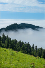 Fototapeta premium Foggy mountain landscape. Foggy and cloud-covered mountains. Foggy valleys. Foggy forest landscape. Black Sea mountains.Pokut Plateau. Kaçkar mountains. Rize, Türkiye.