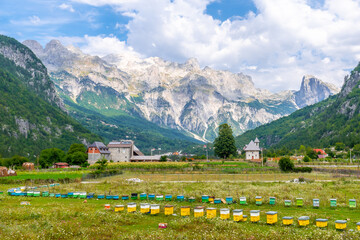 Fototapeta na wymiar Honey harvest in the valley of Theth national park, Albania. albanian alps.