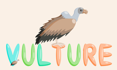 Cartoon vulture character of educational nature with the name of the animal. Isolated vector illustration.