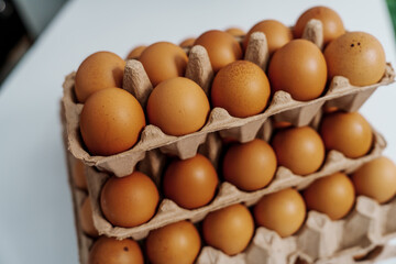 Farm fresh chicken eggs on paper egg box from organic farm., no people, nobody.