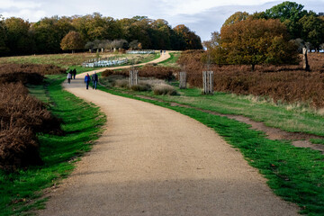 Fototapeta na wymiar View of London's beautiful Richmond Park